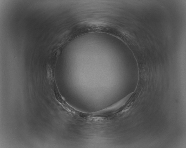 X0000068321061200604211159