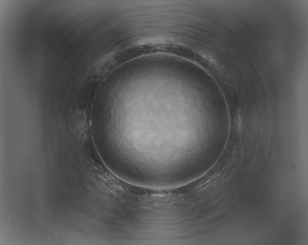 X0000068321062200604211159