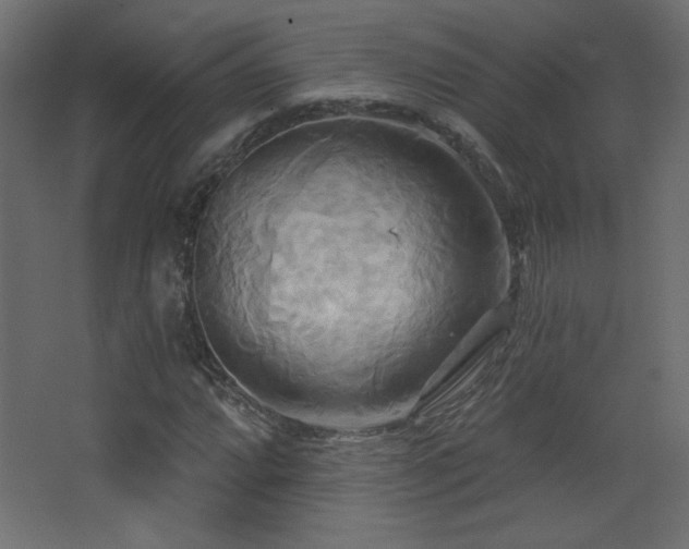 X0000068321064200604211159
