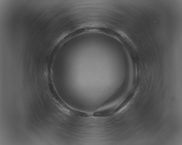 X0000068321065200604211159