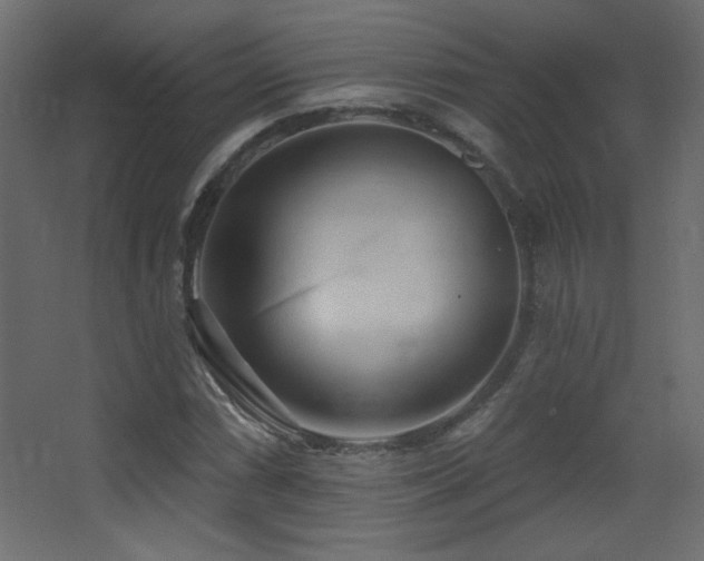 X0000068321066200604211159