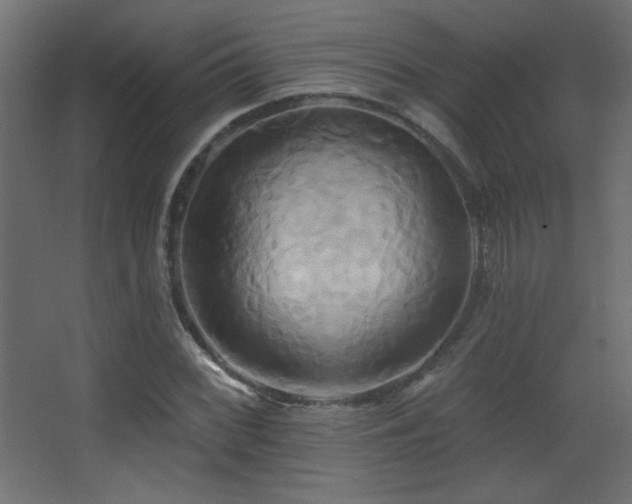 X0000068321068200604211159