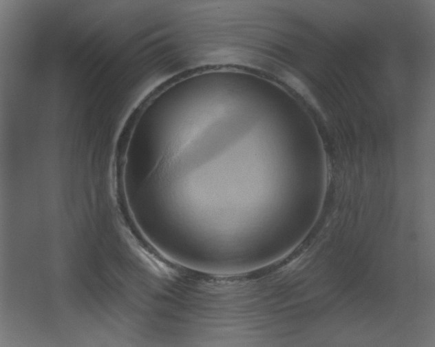 X0000068321076200604211159