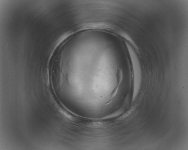 X0000068321079200604211159