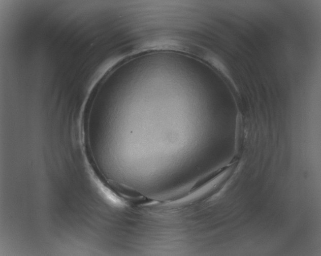 X0000068321082200604211159