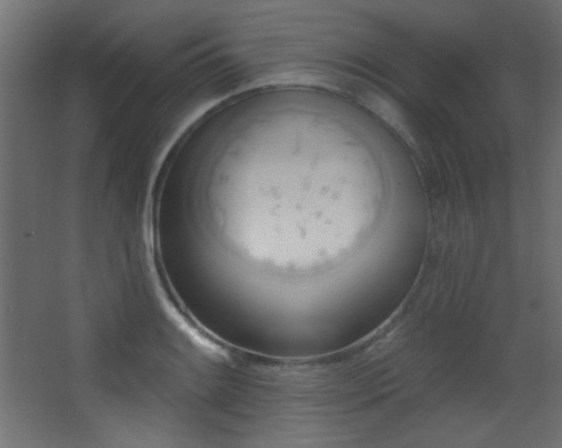 X0000068321084200604211159
