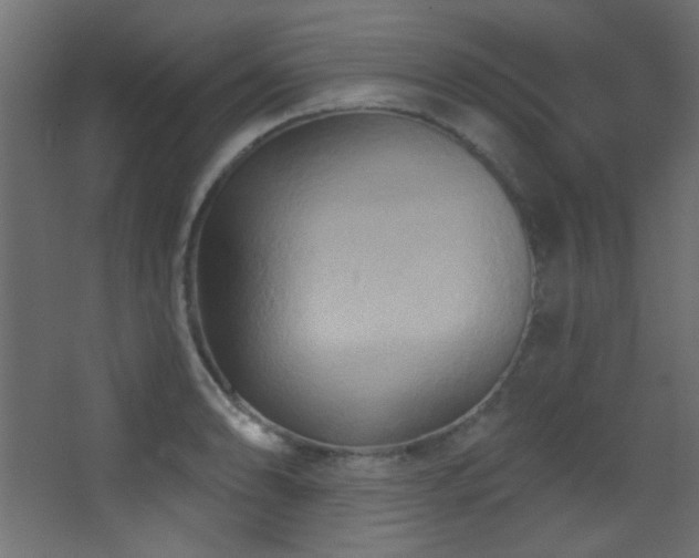 X0000068321086200604211159