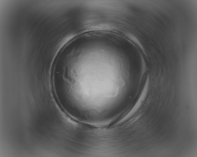 X0000068321087200604211159