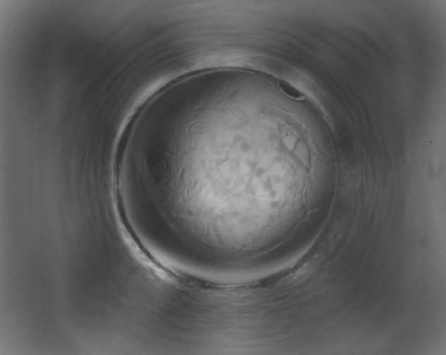 X0000068321088200604211159