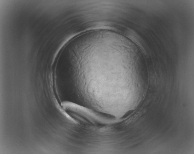 X0000068321092200604211159