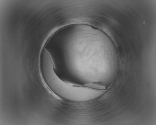 X0000068321096200604211159