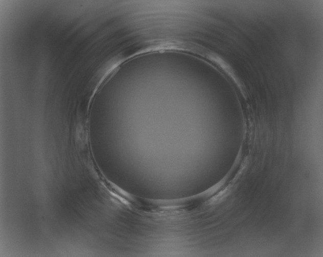X0000068321097200604211159