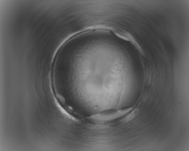 X0000068321100200604211159