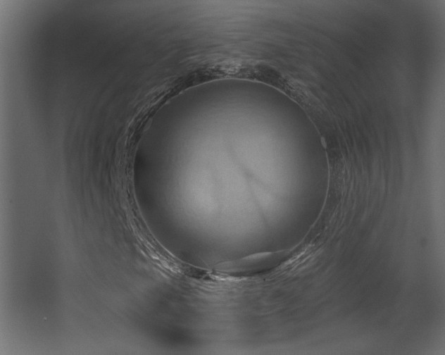 X0000068321105200604211158