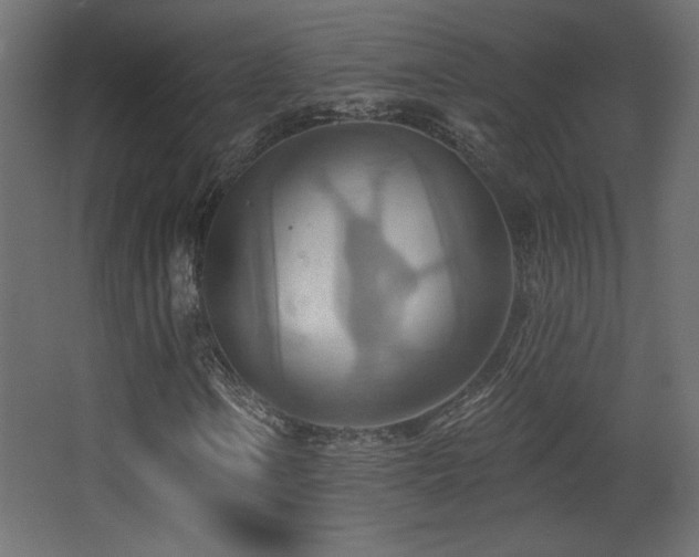 X0000068321106200604211158