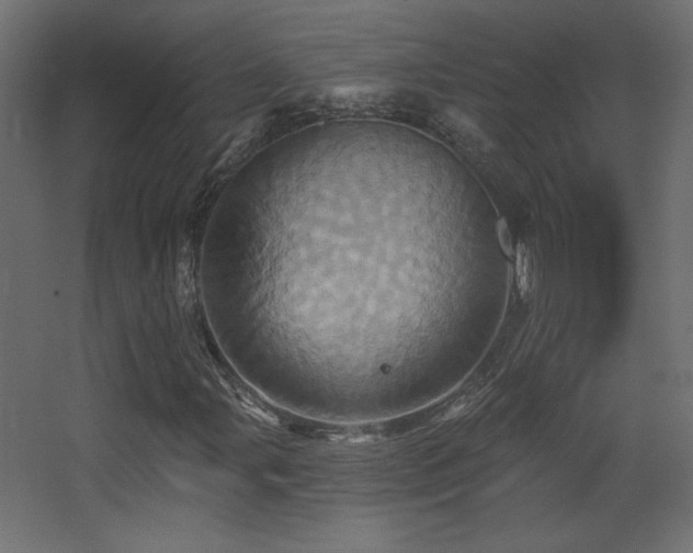 X0000068321107200604211158