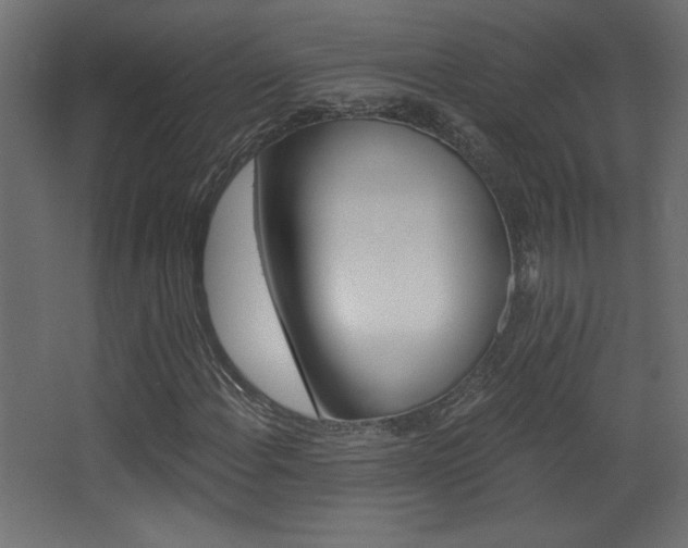 X0000068321108200604211158