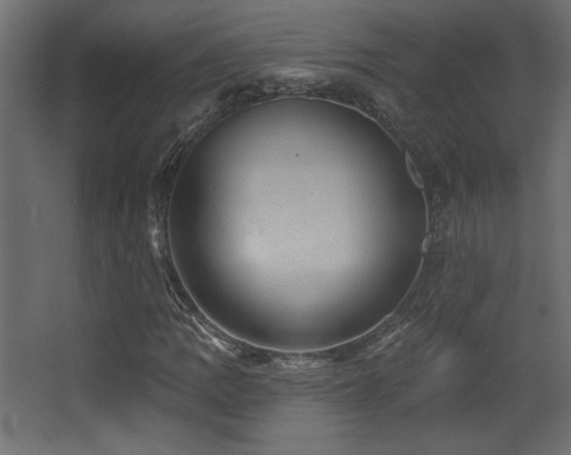 X0000068321109200604211158