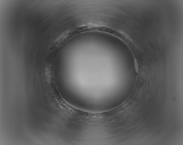 X0000068321110200604211158