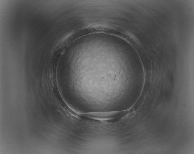 X0000068321111200604211158