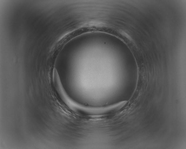 X0000068321112200604211158
