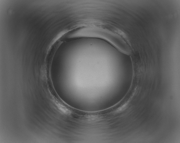 X0000068321114200604211158