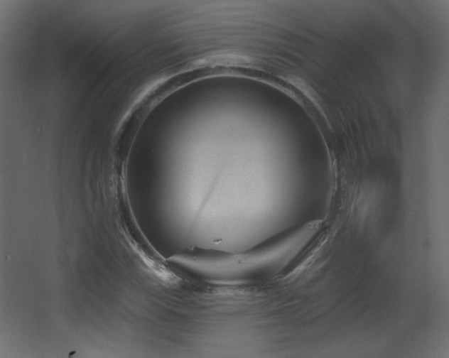X0000068321115200604211158