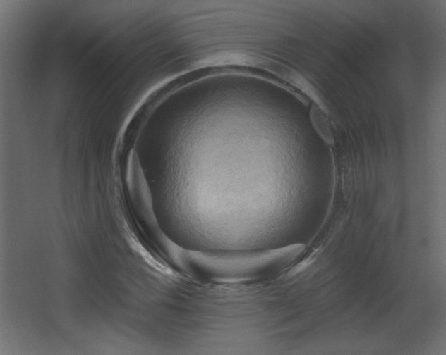 X0000068321116200604211158