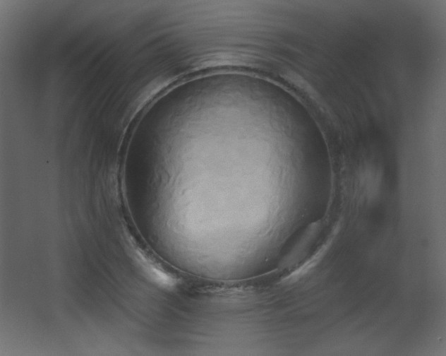 X0000068321121200604211158