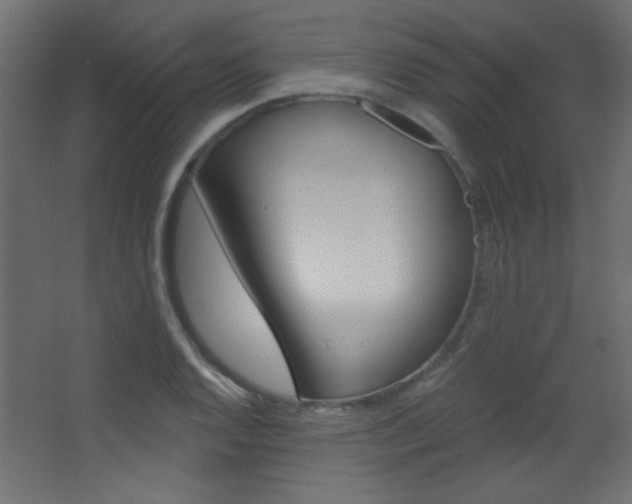 X0000068321128200604211158