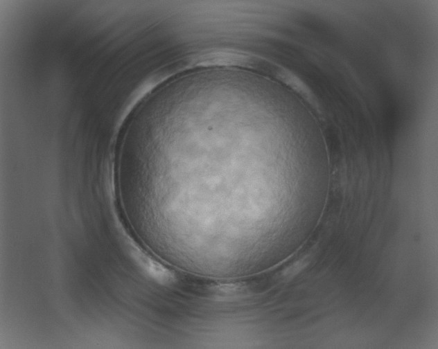 X0000068321130200604211158