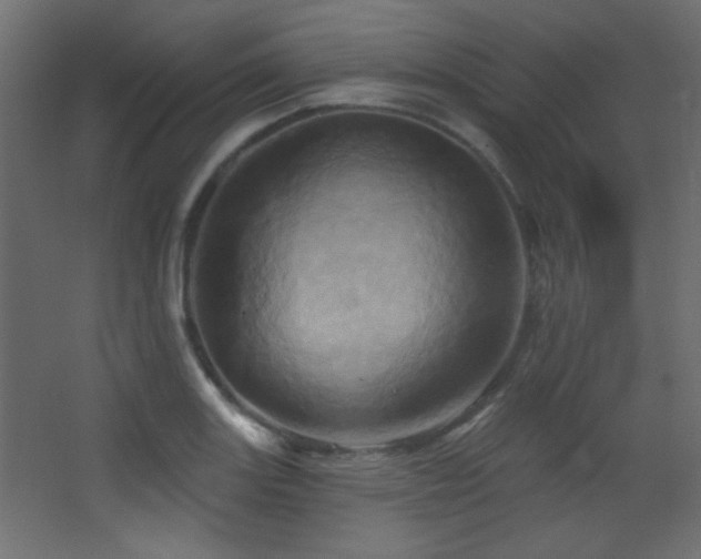X0000068321131200604211158