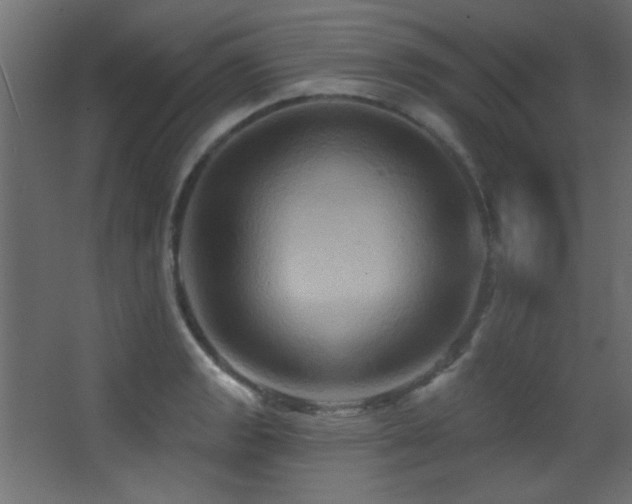 X0000068321133200604211158