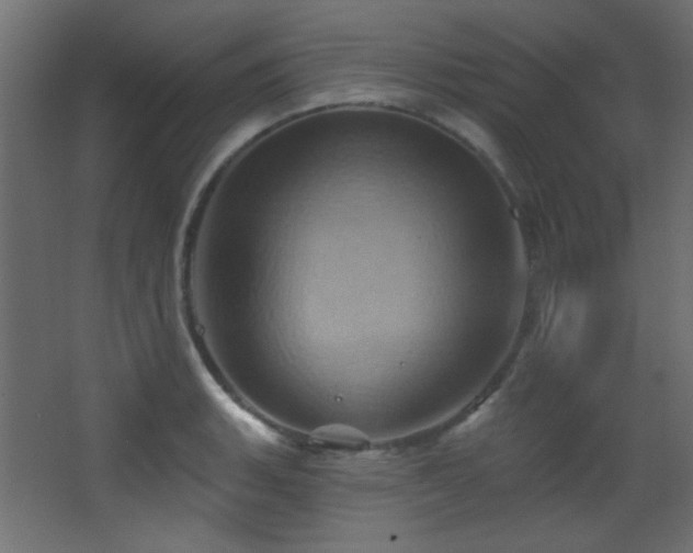 X0000068321135200604211158