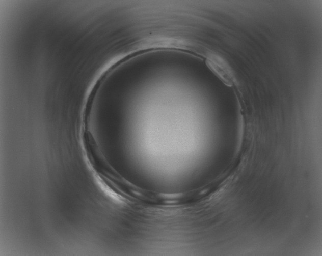 X0000068321136200604211158