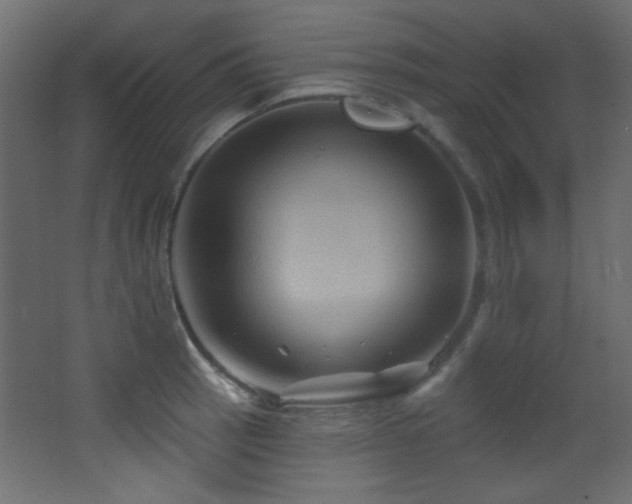 X0000068321137200604211158