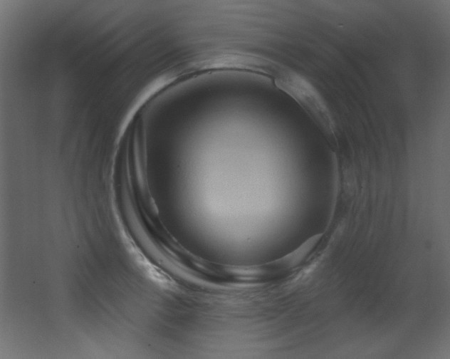 X0000068321138200604211158