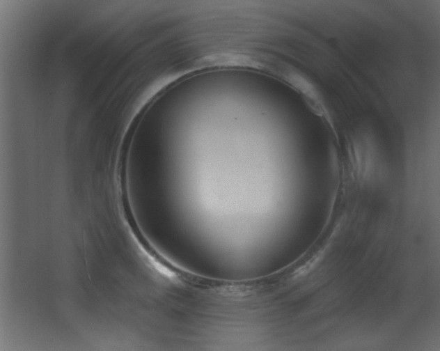 X0000068321141200604211158
