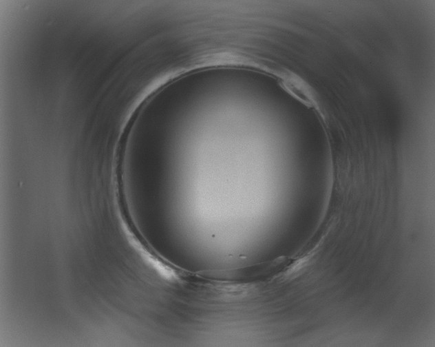 X0000068321142200604211158