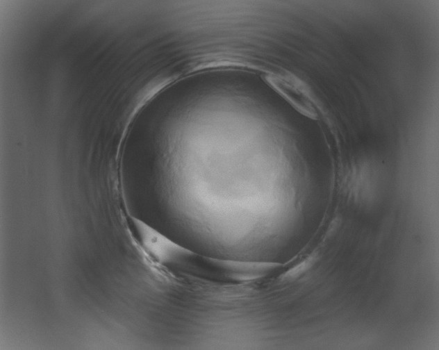 X0000068321145200604211158