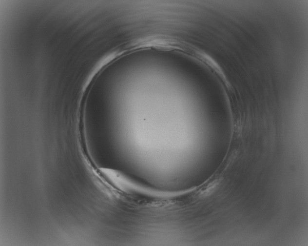 X0000068321146200604211158