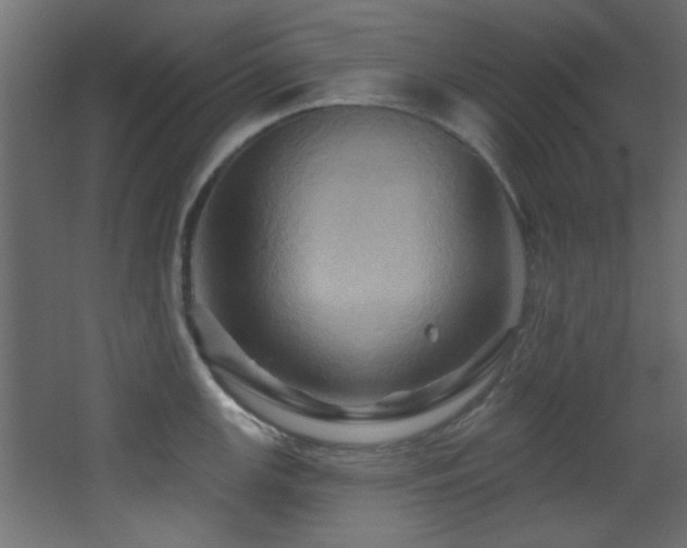 X0000068321147200604211158
