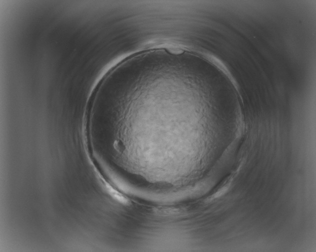 X0000068321149200604211158