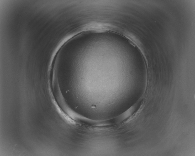 X0000068321152200604211159