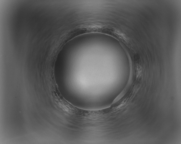 X0000068321153200604211158