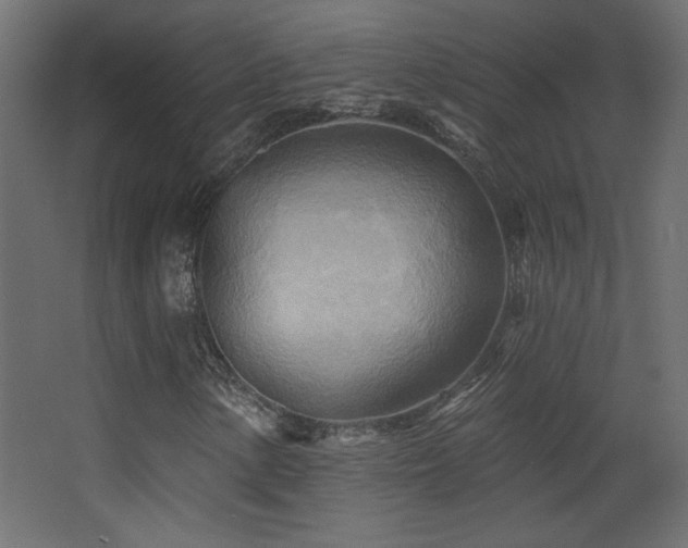 X0000068321154200604211158