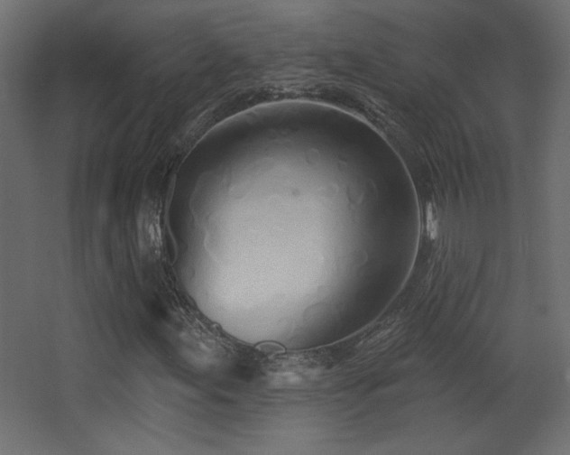 X0000068321155200604211158