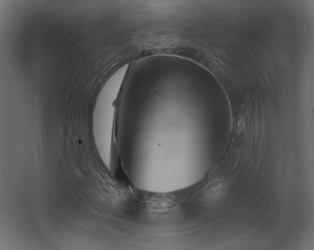 X0000068321156200604211158