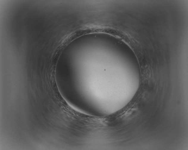 X0000068321157200604211158