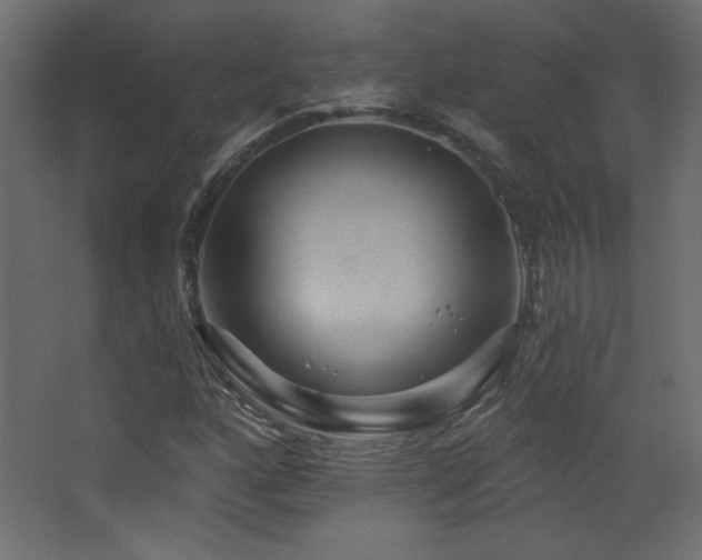 X0000068321160200604211158